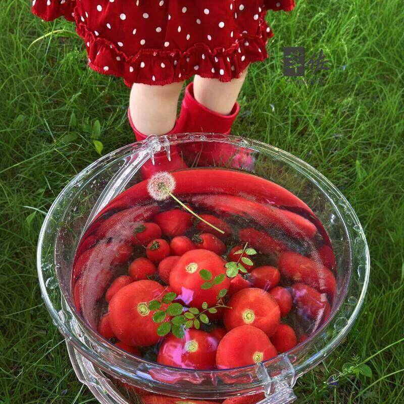 Przezroczyste wiadro na wodę o – Baby Food Intake recenzja i cena